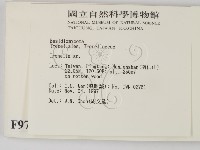 銀耳屬藏品圖，第2張