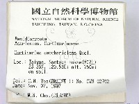 登錄號:F0009746藏品圖，第2張