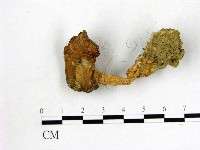 登錄號:F0009746藏品圖，第3張