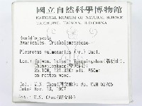 登錄號:F0009748藏品圖，第2張