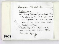 登錄號:F0009750藏品圖，第2張