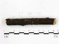 登錄號:F0009750藏品圖，第1張