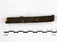 登錄號:F0009750藏品圖，第3張