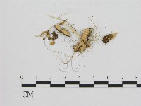 登錄號:F0009751藏品圖，第3張