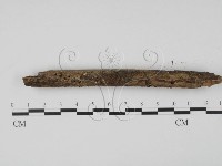 登錄號:F0009754藏品圖，第3張