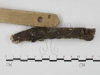 登錄號:F0009755藏品圖，第1張