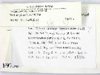 登錄號:F0009756藏品圖，第2張