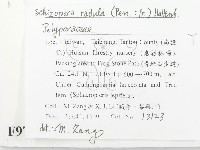 登錄號:F0009757藏品圖，第2張