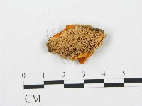 登錄號:F0009757藏品圖，第1張