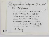 登錄號:F0009758藏品圖，第2張