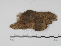 登錄號:F0009760藏品圖，第1張