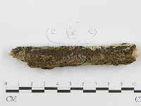 登錄號:F0009761藏品圖，第3張