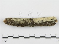 登錄號:F0009761藏品圖，第4張