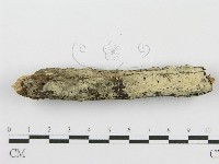 登錄號:F0009761藏品圖，第5張