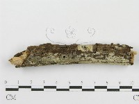 登錄號:F0009761藏品圖，第6張