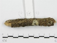 登錄號:F0009761藏品圖，第7張