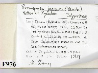 登錄號:F0009762藏品圖，第2張