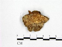 登錄號:F0009762藏品圖，第3張