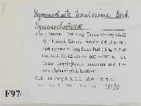 登錄號:F0009763藏品圖，第2張