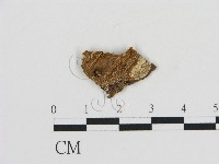 登錄號:F0009763藏品圖，第1張