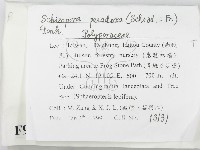 登錄號:F0009764藏品圖，第2張