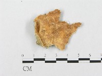 登錄號:F0009764藏品圖，第1張