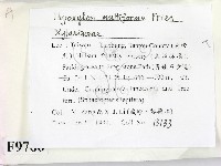 登錄號:F0009766藏品圖，第2張