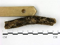 登錄號:F0009766藏品圖，第3張