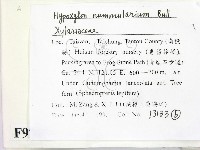 登錄號:F0009767藏品圖，第2張