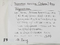 登錄號:F0009768藏品圖，第2張