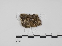 登錄號:F0009768藏品圖，第1張