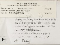 登錄號:F0009769藏品圖，第2張