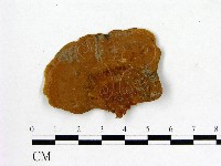 登錄號:F0009769藏品圖，第1張