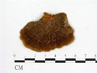 登錄號:F0009769藏品圖，第3張