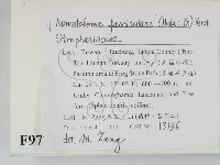 登錄號:F0009770藏品圖，第2張