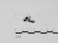 登錄號:F0009770藏品圖，第1張