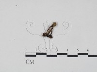 登錄號:F0009770藏品圖，第3張