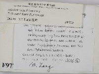 登錄號:F0009771藏品圖，第2張