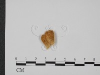 登錄號:F0009771藏品圖，第1張