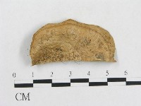 登錄號:F0009774藏品圖，第1張