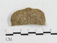 登錄號:F0009774藏品圖，第3張