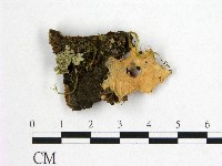 登錄號:F0009775藏品圖，第1張