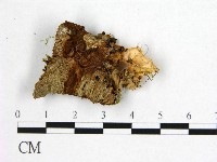 登錄號:F0009775藏品圖，第3張