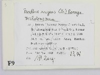 登錄號:F0009776藏品圖，第2張