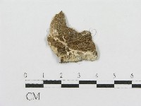 登錄號:F0009777藏品圖，第1張