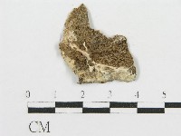 登錄號:F0009777藏品圖，第3張