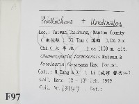 登錄號:F0009778藏品圖，第2張