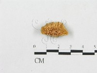 登錄號:F0009780藏品圖，第1張