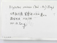 登錄號:F0009781藏品圖，第2張