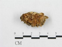 登錄號:F0009781藏品圖，第1張